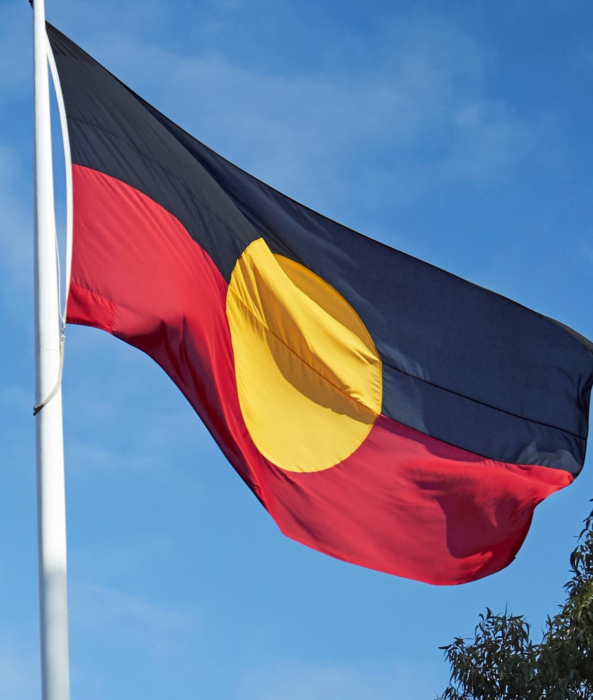 Aboriginal flag