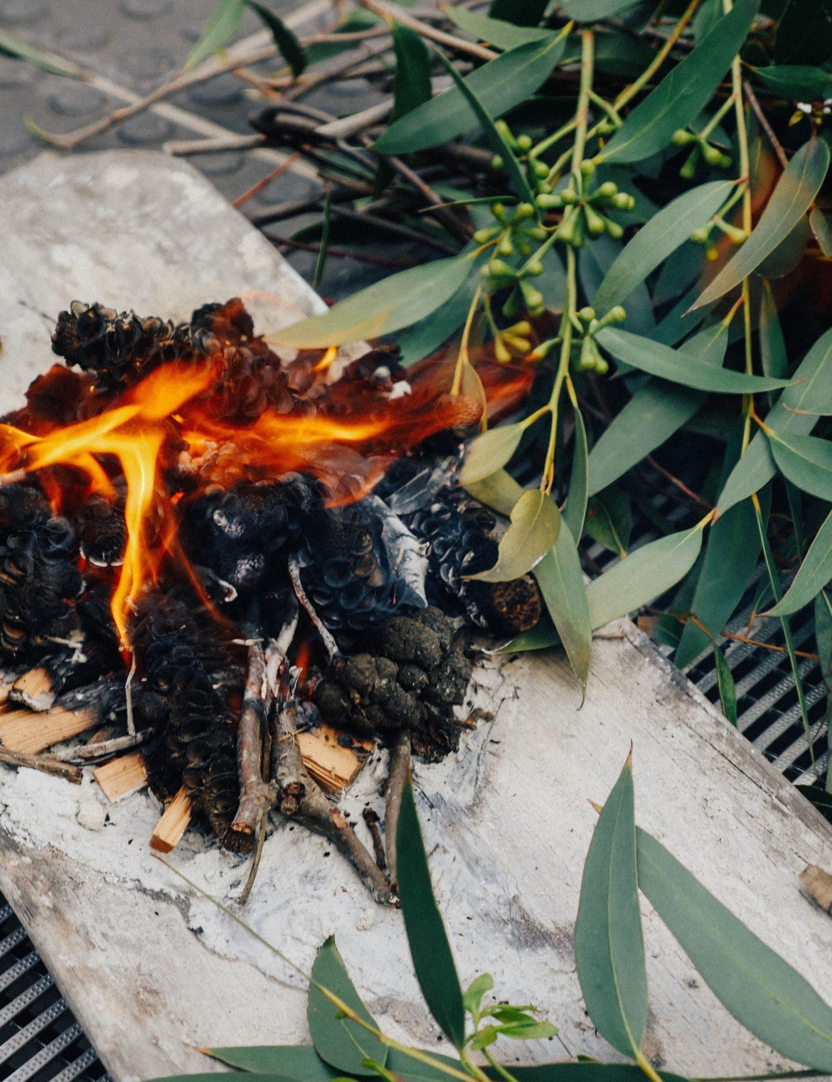 Smoking ceremony at Esme Timbery Creative Practice Lab