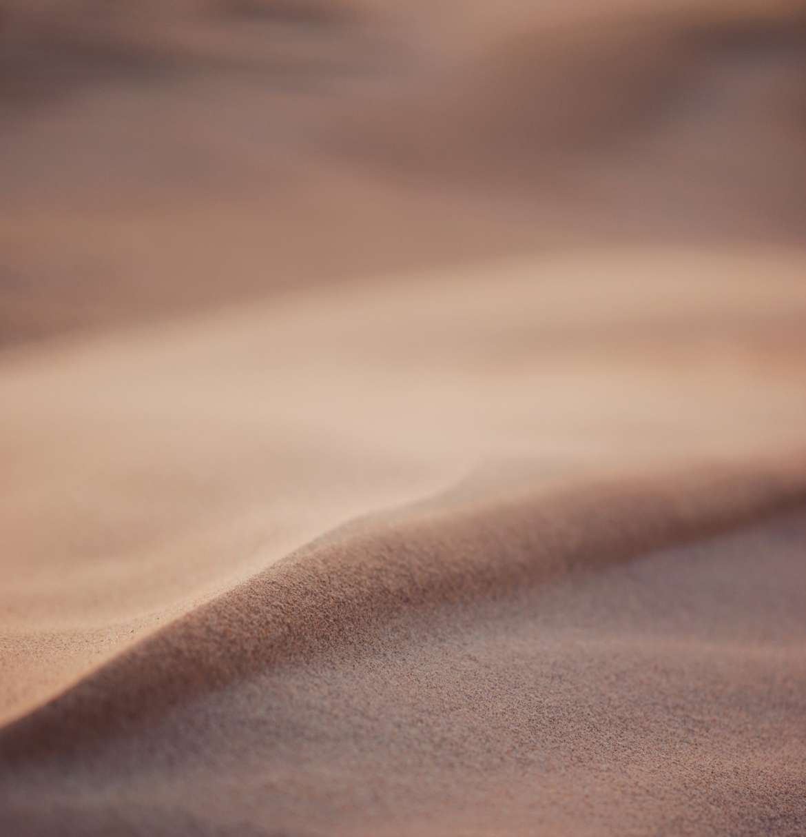 Sand dunes close up