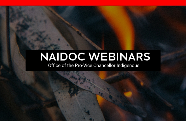 NAIDOC webinars