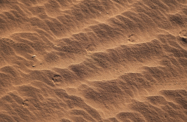 Sand up close